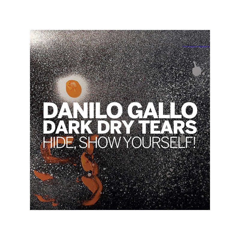 Danilo Gallo - Dark Dry Tears (CD)