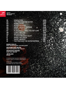 Danilo Gallo - Dark Dry Tears (CD)