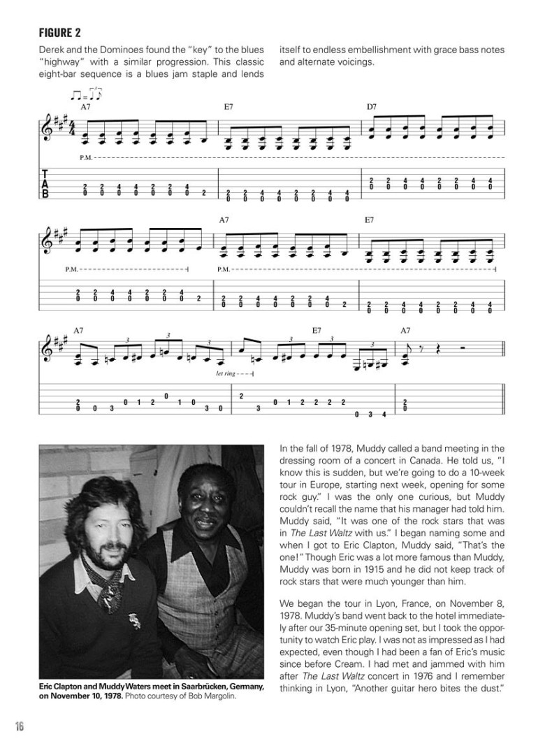 Chicago Blues Rhythm Guitar (Book/DVD)