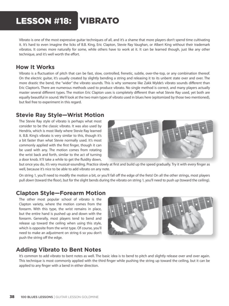 Goldmine : 100 Blues Lessons (book/2 CD)