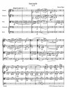 Elgar - Serenade for Strings op. 20