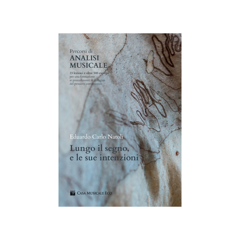 Percorsi di analisi musicale