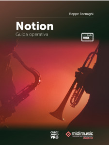 Notion - Guida operativa (libro/Video Online)