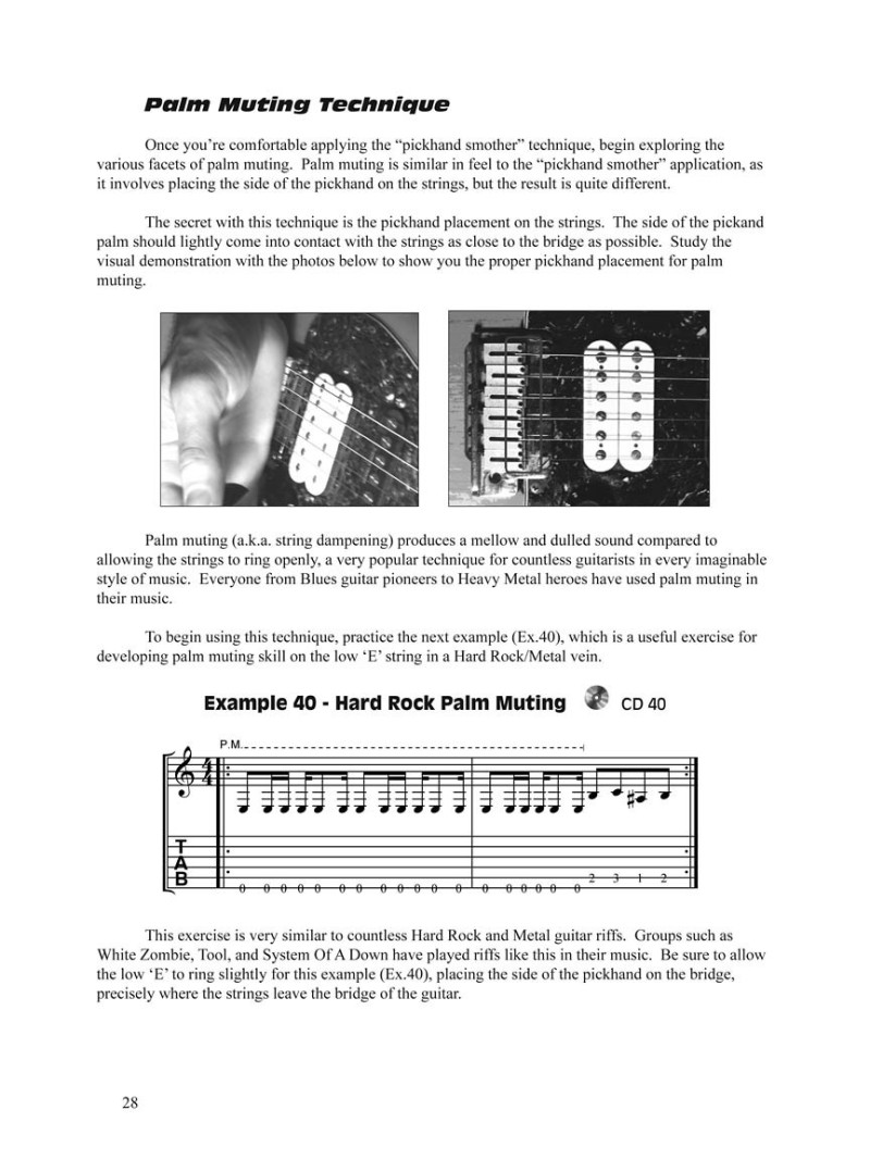 Muting th Guitar (book/CD)