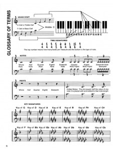 The Evolving Bassist  (Millenium Edition)