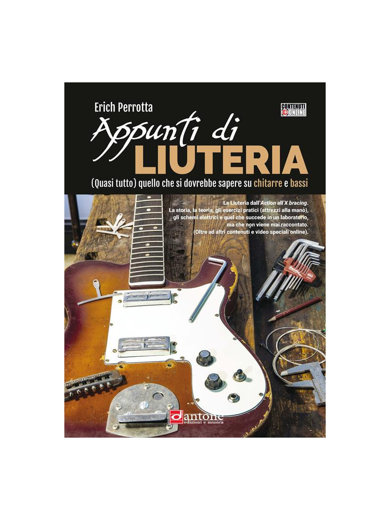 Appunti di liuteria. (Quasi tutto) quello che si dovrebbe sapere (libro/Audio Online)