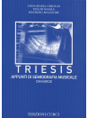 Triesis - semiografia musicale