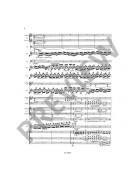 Sibelius - Violin-Konzert D-Moll (op. 47)