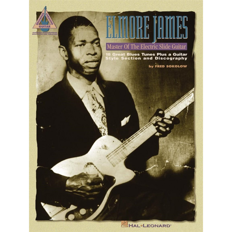 Master of the Electric Slide Guitar