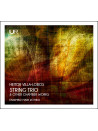 String Trio & Other Chamber Works (CD)