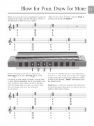 Absolute Beginners: Harmonica (Book/Audio Online)