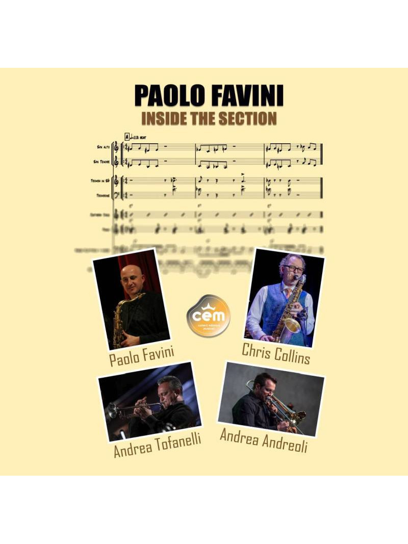 Paolo Favini “Inside the Section”