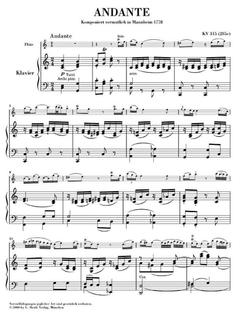 Andante for Flute and Orchestra C major KV 315