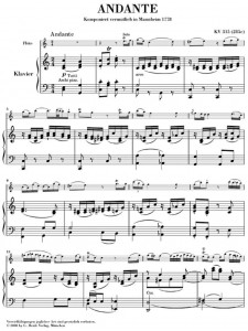 Andante for Flute and Orchestra C major KV 315