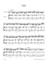Three Sonatas For Flute And Basso Continuo