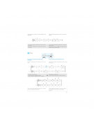 method flute, technic flute