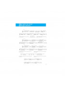 method flute, technic flute