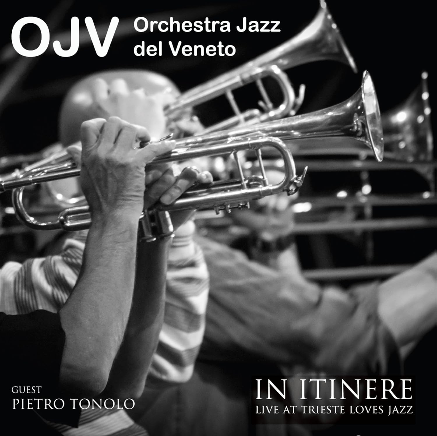 Orchestra Jazz del Veneto - In Itinere (CD)
