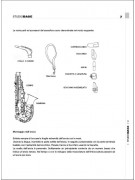 tecnica sassofono, metodo sassofono