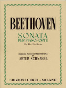 costruzione banjo, manutenzione banjo