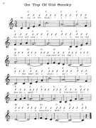 metodo banjo, tecnica banjo, banjo 5 corde www.birdlandjazz.it