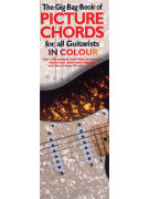 Gig Bag Book of Picture Chords Guitar www.birdlandjazz.it
