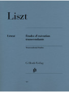 Liszt spartiti pianoforte, Liszt studi pianoforte