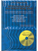 Luca Chiaraluce Approccio analitico alle strutture del jazz,