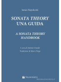 Sonata Theory, Una guida
